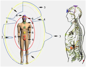 Аура буюу хүний био талбай